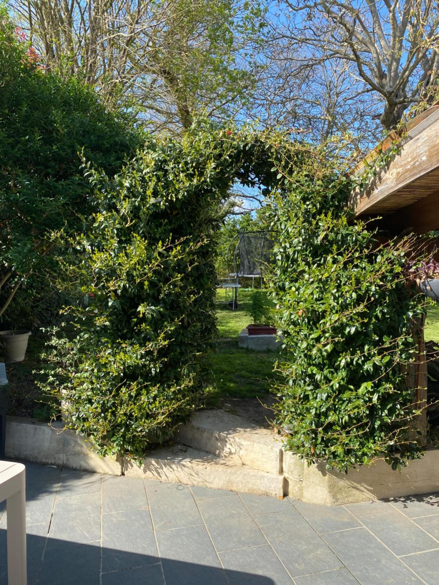 Les 5 Timbres Villa Montpellier-de-Médillan Exteriör bild